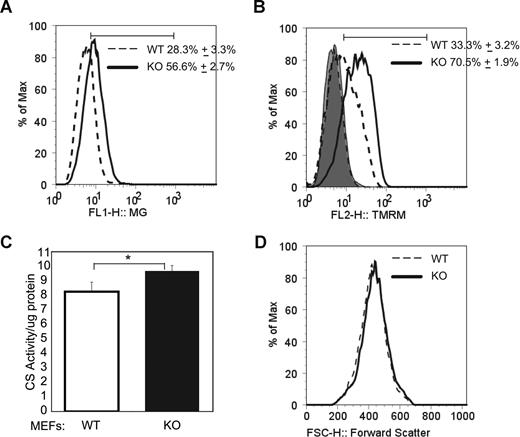 Figure 5. Increased mitochondrial mass in ulk1−/− murine embryonic fibroblasts (MEFs). (A) MEFs derived from ulk1+/+ (WT) and ulk1−/− (KO) were stained with Mitotracker Green FM and analyzed by FACS. The histogram shows the distribution of Mitotracker staining in both populations. Mean (n = 5) and standard deviation of the percentage of cells within the marker are shown. The marker was set to include all points above the intersection of the 2 plots to highlight the difference in staining between the 2 populations. (B) MEFs derived from ulk1+/+ (WT) and ulk1−/− (KO) were stained with TMRM. The histogram shows the distribution of TMRM staining in both populations before and after incubation with in 50 μM CCCP. Mean (n = 5) and standard deviation of the percentage of cells within the marker are shown. After treatment with CCCP mean FL2 fluorescence was reduced to 5.8 (± 0.3) in WT MEFs and 5.7 (± 0.1) in KO MEFs. (C) Graph showing citrate synthase activity in whole-cell extracts prepared from wild-type (WT) and Ulk1-deficient (KO) MEFs normalized to total protein. The mean (n = 5) and standard deviations are shown. Statistical significance (P < .01) was calculated by Student t test analysis and is marked with an asterisk (*). (D) Representative histogram showing forward scatter distribution of MEFs derived from ulk1+/+ (WT) and ulk1−/− (KO).