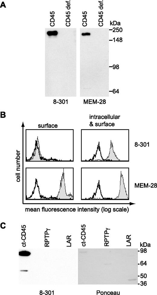 Figure 1. Molecular characterization of the mAb 8-301-defined antigen. (A) Lysates of CD45+ and CD45-deficient Jurkat cells were used in Western blots to validate the reactivity of mAb 8-301 with CD45 in parallel with the conventional CD45 mAb MEM-28. (B) Flow cytometric analysis revealed that mAb 8-301, in contrast to MEM-28, shows intracellular reactivity with monocytes. The figure shows histogram profiles including isotype-matched control mAb VIAP (open) and mAb 8-301 or MEM-28 (filled). (C) Reactivity of mAb 8-301 with cytoplasmic tails of protein tyrosine phosphatases CD45, RPTPγ, and LAR was tested by immunoblot (left). Loading was controlled by Ponceau S staining of the membrane (right). Representative experiments of at least 2 independent experiments are shown.
