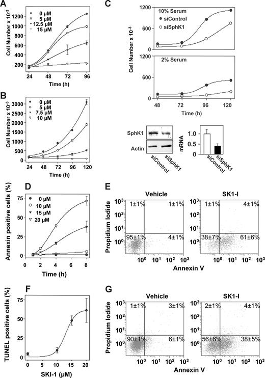 Figure 2. SK1-I and siSphK1 decrease cellular proliferation and viability. (A) U937 cells or (B) Jurkat cells (105 cells/mL) were cultured in medium containing 10% serum in the absence or presence of the indicated concentrations of SK1-I. Cell numbers were determined with a Coulter counter model Z1 (Beckman Coulter). (C) Knockdown of SphK1 by siRNA reduces cell growth. U937 cells were transiently transfected siRNA targeted to SphK1 (○) or siRNA control (●). Cells (105 cells/mL) were then cultured in medium containing 10% (top panel) or 2% (middle panel) serum for the indicated times and cell numbers determined with a Coulter counter. (Bottom panel) Equal amounts of cell lysate proteins (60 μg) from duplicate cultures were separated by SDS-PAGE and immunoblotted with anti-SphK1 antibody. Blots were stripped and probed with actin antibody to ensure equal loading and transfer. SphK1 mRNA levels were normalized to actin and the ratio relative to siControl from 3 independent experiments is shown. *P < .05. (D-G) SK1-I promotes apoptosis. U937 cells cultured in 10% serum were treated without or with 10, 15, or 20 μM SK1-I for the indicated times (D) or with 20 μM SK1-I for 24 hours (E) and stained with annexin V/PI, and apoptosis was determined by flow cytometry. Early apoptotic cells are annexin V positive, late apoptotic cells are both annexin V and PI positive, whereas necrotic cells are PI positive only. (F) Duplicate cultures were treated with the indicated concentration of SK1-I for 24 hours, and the fraction of TUNEL-positive cells was determined. (G) U937 cells were cultured in medium containing 2% serum in the absence or presence of 10 μM SK1-I for 24 hours and then stained with annexin V/PI, and apoptosis was determined by flow cytometry. The percentages in the lower right quadrant correspond to early apoptotic cells (annexin V positive), whereas percentages in the upper right quadrant correspond to late apoptotic cells (annexin V/PI-positive).