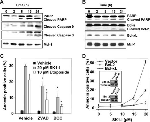 Figure 3. Caspase inhibitors and overexpression of Bcl-2 protect against apoptosis induced by SK1-I. U937 cells were treated without or with 10 μM SK1-I (A) or 20 μM SK1-I (B) for the indicated times. Cell lysates were prepared and equal amounts of proteins (20 μg) analyzed by Western blotting with the indicated antibodies. Blots were stripped and reprobed with anti–Mcl-1 to ensure equivalent loading and transfer. (C) U937 cells were pretreated for 30 minutes without or with 20 μM Boc-D-FMK (BOC) or Z-VAD-FMK (ZVAD) and then treated with 20 μM SK1-I or 10 μM etoposide. After 4 hours, apoptosis was determined by flow cytometric analysis of annexin V/PI-stained cells. *P ≤ .01. (D) U937 cells stably expressing vector, Bcl-2, or Bcl-xL were treated with the indicated concentrations of SK1-I for 8 hours. Apoptosis was determined by flow cytometric analysis of annexin V/PI-stained cells. Insets show overexpression of Bcl-2 and Bcl-xL by immunoblotting.