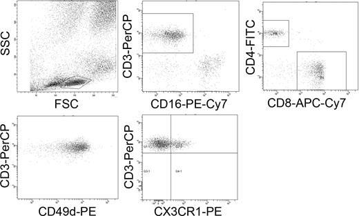 Figure 1. Five-color flow cytometry. Representative dot plots showing identification of T cells, T-helper cells, cytotoxic T cells, and the expression of VLA-4 (CD49d; MFI) and CX3CR1 (percentage positive cells).