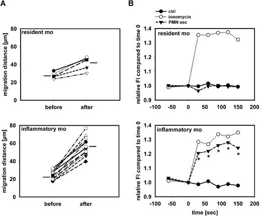 Figure 3. PMN secretion specifically activates inflammatory monocytes. (A) Migration distance of monocytes in 3 cremaster muscles of CX3CR1eGFP/+ mice over a 30-minute period before and after superfusion with PMN secretion. Distinction between resident and inflammatory monocytes was based on their fluorescence intensity. Horizontal lines indicate group average. The difference in number of cells included in the analysis reflects the different efficacy in recruitment between the 2 monocyte subsets. (B) Leukocytes from C57BL/6 mice were harvested by cardiac puncture, and intracellular Ca2+ mobilization was measured in resident monocytes (Gr1−, F4/80+, top) and inflammatory monocytes (Gr1+, F4/80+, bottom) after stimulation with medium (ctrl), ionomycin, or PMN secretion (PMN-sec). Data were acquired before and at 30-second intervals after stimulation (time = 0) and presented as average of 4 to 6 analyses for each data point. * indicates significant difference between treatment with PMN secretion and control.