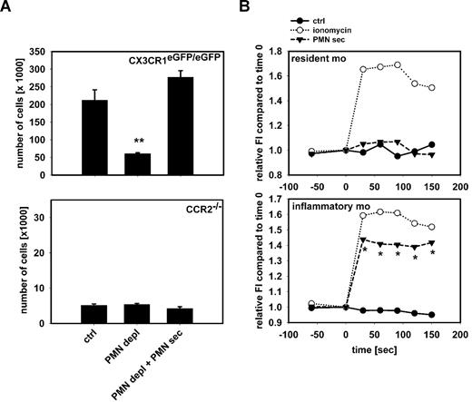 Figure 4. Recruitment of inflammatory monocytes by PMN secretion is CCR2-dependent. (A) Recruitment of Gr1+ inflammatory monocytes in the air pouch of CX3CR1eGFP/eGFP mice (top) and CCR2−/− (bottom) mice 12 hours after stimulation with PAF (10−6 M). Analyses were made in mice with intact WBC count (ctrl), neutropenic mice (PMN depl), and neutropenic mice treated with PMN secretion (PMN depl + PMN-sec). Note the difference in scale between the charts. ** indicates significant difference compared with both ctrl and PMN depl + PMN-sec. (B) Leukocytes from CCR2−/− mice were harvested by cardiac puncture and intracellular Ca2+ mobilization was measured in resident monocytes (Gr1−, F4/80+, top) and inflammatory monocytes (Gr1+, F4/80+, bottom) after stimulation with medium (ctrl), ionomycin, or PMN secretion (PMN-sec). Data were acquired before and at 30-second intervals after stimulation (time = 0) and presented as average of 4 to 6 analyses for each data point. * indicates significant difference between treatment with PMN secretion and control.