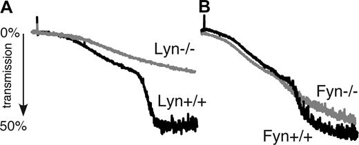 Figure 1. The role of Lyn and Fyn in botrocetin/VWF-induced integrin-dependent platelet aggregation. (A) Washed wild-type and Lyn−/− mouse platelets and (B) washed wild-type and Fyn−/− mouse platelets were stimulated with botrocetin (1.2 μg/mL) and VWF (10 μg/mL) at 37°C. Platelet aggregation was monitored using a turbidometric aggregometer.