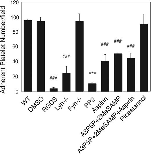 Figure 2. The role of Lyn and Fyn in integrin-dependent stable platelet adhesion to VWF under shear stress. Washed wild-type, Lyn−/−, or Fyn−/− mouse platelets were loaded onto VWF-coated glass slides with mepacrine (10 μM). Wild-type platelets were also preincubated with DMSO, RGDS (1 mM), SFK inhibitor PP2 (10 μM), P2Y1 antagonist, A3P5P (0.5 mM), and P2Y12 antagonist, 2MeSAMP (10 μM), aspirin (1 mM), or the Syk inhibitor piceatannol (10 μM) for 2 minutes, before loading onto the VWF-coated glass slides. Platelets were then subjected to constant shear rate (800 s−1) for 5 minutes. After washing, adherent platelets were viewed and photographed as described in “Platelet adhesion under shear stress.” The number of adherent platelets/field were quantitated. Data (mean ± SD) were obtained from 10 randomly selected fields from each of 4 experiments. ###P < .001, compared with wild-type platelet. ***P < .001, compared with DMSO-treated platelet; P < .001, difference between ADP receptor antagonists and PP2; P < .01, difference between ADP receptor antagonists and Lyn knockout or between aspirin and PP2; P < .05, difference between aspirin and Lyn knockout.