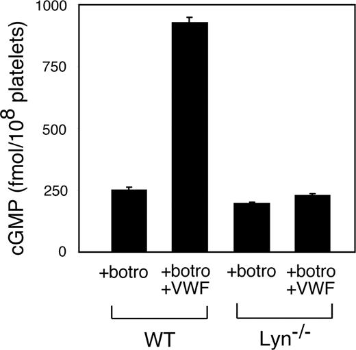 Figure 5. The role of Lyn in GPIb-IX–mediated elevation of platelet cGMP. Washed wild-type or Lyn−/− platelets were stimulated with botrocetin alone or botrocetin (1.2 μg/mL) and VWF (10 μg/mL) in an aggregometer for 5 minutes. The cGMP levels (mean ± SD) in platelets were measured as described in “VWF-induced platelet cGMP elevation.” Data were obtained from 3 tests.