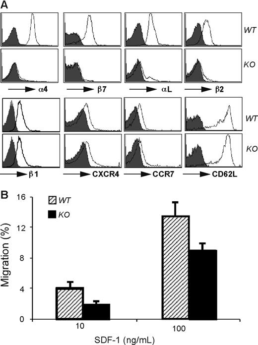 Figure 3. Selective integrin loss but normal expression of selectin and chemokine receptor by HSP90b1 KO B cells. (A) Phenotypic analysis of splenic B cells for the surface expression of indicated molecules (open histogram). Shaded histogram represents background stain with isotype control Ab. (B) In vitro migration assay of WT and KO B cells in response to SDF-1. P > .05. Error bars represent SD.