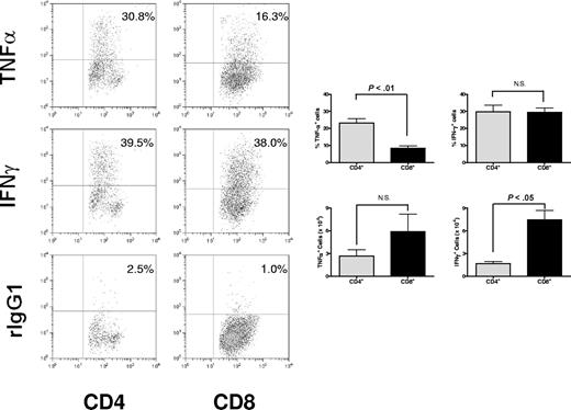 Figure 1. Differential cytokine profiles in CD4+ and CD8+ T cells during acute murine GVHD. Mesenteric lymph nodes were collected on day +9 after BMT from irradiated BALB/c (H2d) recipients of 15 million B6 (H2b) bone marrow cells (BMCs) and 5 million splenocytes (SCs). Cells were assessed for intracellular TNFα or IFNγ expression in CD4+ cells and CD8+ cells. Significantly higher frequency of mesenteric lymph node (MLN) CD4+ T cells than CD8+ T cells (P < .01) expresses TNFα after nonspecific activation in vitro. The absolute number of TNFα+CD4+ and TNFα+CD8+ cells were not significantly different in the MLNs. Representative data from 1 of 3 independent experiments are presented as means plus or minus SEM (error bars).