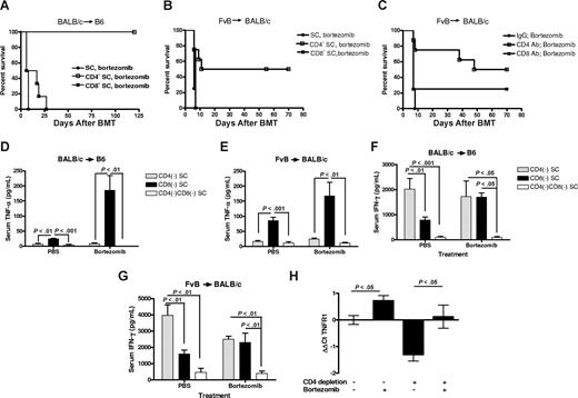 Figure 3. Removal of donor CD4+ T cells decreases the risk of delayed bortezomib-related lethal toxicity. (A) B6 (H2b) recipients of 15 million BALB/c (H2d) bone marrow and 12 million SCs from donors depleted of CD4+ or CD8+ T cells in vivo, before tissue collection, were treated with 15 μg bortezomib per dose on day +5 and day +16 (n = 6 mice/group) and monitored for survival. Representative data from 1 of 2 independent experiments are shown. (B) BALB/c (H2d) recipients of 10 million FvB (H2q) bone marrow and 2 million SCs from donors depleted of CD4+ or CD8+ T cells in vivo, before tissue collection, were treated with 7.5 μg bortezomib on day +6 (n = 6 mice/group) and monitored for survival. (C) BALB/c (H2d) recipients of 10 million FvB (H2q) bone marrow and 2 million SCs were treated with indicated depleting mAb on day +4 and with 7.5 μg bortezomib per dose on day +6 after BMT (n = 5 mice/group) and monitored for survival. (D,F) B6 recipients of BALB/c cells underwent transplantation as described for panel A. Serum was collected on day +6 after BMT (n = 3-7 mice/group) and analyzed for TNFα and IFNγ. Representative data from 1 of 2 independent experiments are shown as means plus or minus SEM. (E,G) BALB/c recipients of 10 million FvB BMCs and 3 million SCs from donors that received CD4 and/or CD8 depleting antibody before tissue collection and treated as described in panel B. Serum was collected on day +6 after BMT (n = 5 mice/group) and analyzed for TNFα and IFNγ. Results are shown as means plus or minus SEM; representative data from 1 of 2 independent experiments are shown. (H) BALB/c recipients of FvB T cell–depleted bone marrow and 3 million SCs from untreated donors or in vivo CD4+ cell–depleted donors were treated with 10 μg bortezomib or PBS on day +6 and the ileum was collected for RT-qPCR analysis on day +7 (n = 3-6 mice/group). Data are expressed by the ΔΔCt method in which TNFR1 gene expression is normalized to ACTB in individual samples and then relative expression is compared with the mean value from the group receiving unfractionated spleen cells and PBS. Significant increases in TNFR1 gene expression are shown as means (± SEM; P < .05; Student t test).