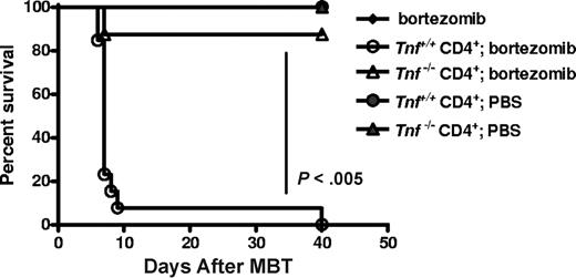 Figure 4. Recipients of Tnf −/− donor CD4+ T cells display decreased bortezomib-induced GVHD-dependent lethal toxicity. BALB/c (H2d) recipients of 15 million B6 (H2b) Tnf+/+ BM with or without either Tnf+/+ or Tnf−/− CD4+ T cells (5 × 105) were treated with 10 μg/dose bortezomib on day +5 after BMT (n = 7-14 mice/group). Significant increases in survival (P < .005; log rank test). Combined data from 2 independent experiments are shown.