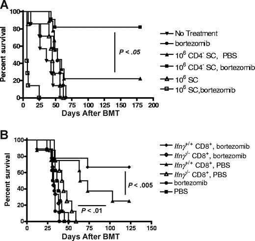 Figure 5. Posttransplantation bortezomib therapy enhances GVT in the absence of donor CD4+ T cells and is dependent on IFNγ production from donor CD8+ T cells. (A) BALB/c (H2d) mice received 3 × 105 A20 cells on day 6. On day 0, BALB/c (H2d) mice received 10 million FvB (H2q) bone marrow with or without 1 million unfractionated splenocytes or CD4 in vivo–depleted splenocytes. Mice received PBS or 7.5 μg/dose bortezomib on days 0, +6, +11, and +16 after BMT (n = 7-11 mice/group) and were monitored for survival. Representative data from 1 of 2 independent experiments are presented. (B) BALB/c (H2d) mice received 3 × 105 A20 cells on day 6. On day 0, BALB/c (H2d) mice received 10 million B6 (H2b) bone marrow with/without 4 × 105 Ifnγ+/+ or Ifnγ−/− CD8+ T cells followed by 7.5 μg/dose bortezomib on days 0, +6, +11, and +16 after BMT (n = 8-9 mice/group). Representative data from 1 of 3 independent experiments are presented. Prolonged bortezomib therapy after allogeneic BMT result in significant decreases in survival in the mice that received Ifnγ−/− CD8+ T cells compared with mice that received Ifnγ+/+ CD8+ T cells (P < .005; log rank test).