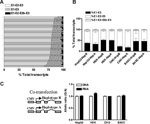 Figure 2. Association of VKORC1 SNPs with AEI. Adjusted P values were used to correct for multiple comparisons using Helix Tree software.