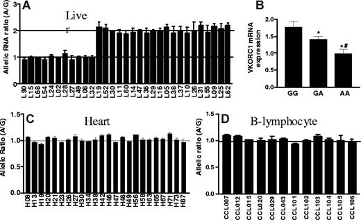 Figure 4. The effects of promoter SNP on VKORC1 mRNA expression. (A) Transcriptional activity of promoter fragments containing −1639 G or −1639 A, measured by luciferase reporter gene assays in 4 different cell lines. (B) Effects of 5′ upstream fragments F1 and F2 on transcription activity of proximate promoter fragment F3. (C) Allelic mRNA expression of VKORC1 in HepG2 cells after cotransfection with VKORC1 gene constructs. The constructs combine −1639 G or −1639 A alleles with either haplotype A or B of the transcribed region. Data are means plus or minus SD.