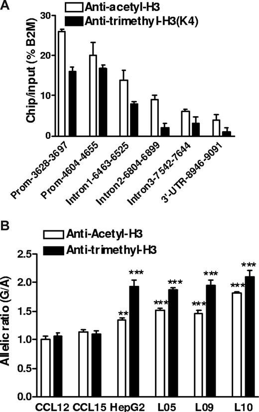 Figure 5. Histone modification and regulatory polymorphism in VKORC1. (A) Relative amount of DNA fragments from different regions of the VKORC1 locus precipitated by antiacetyl-H3 and antitrimethyl-H3 antibodies in human liver samples. ChIP assays in frozen liver tissues were performed after micrococcal nuclease digestion, and precipitated DNA was recovered and quantified by real-time PCR. β2-microglobulin (B2M) serves as internal control. (B) Allele-specific DNA analysis after ChIP with antiacetyl-H3 and antitrimethyl-H3 in human livers, HepG2 cells, and B lymphocytes, using promoter SNP −1639G>A as a marker. The allelic DNA ratio from control DNA (no ChIP) was set as 1, and allelic DNA ratios from precipitates were normalized to the ratio of input. Data are means plus or minus SD (**P < .01, ***P < .001, compared with input ratio, ANOVA with Dunnett posttest).