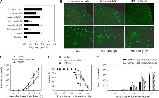 Figure 1. Mast cells promote tumor growth with SCF/c-Kit–mediated chemotactic migration as the prerequisite. (A) SCF induces the migration of mast cells (MCs). The migration of MCs in transwell assay was determined in the presence of tumor tissues, antibodies, or SCF. *P < .05 compared with tumor tissue group. (B) Infiltration of circulating MCs into the tumor. CFSE-labeled BMMCs with or without antibodies were injected into tumor-bearing mice by the tail vein. The peripheral tumor tissues were surgically excised from mice 24 hours after the injection, and frozen sections were prepared and analyzed by fluorescence microscopy. (C) Mast cells promote tumor growth. BMMCs were injected into tumor-bearing mice by intravenous injection. Bone marrow cells were used as control. The growth of tumor was monitored. (D) Survival rate follow-up after the intravenous injection of BMMCs. The survival period of tumor-bearing mice in the BMMC injection group was significantly shortened, compared with that in the control groups (n = 12; P < .05, Kaplan-Meier analysis). The data were the representative of 2 independent experiments in which the similar results were obtained. (E) Dependence of tumor-promoting effect of MCs on the SCF/c-Kit axis. BMMCs, with or without antibodies, were injected into tumor-bearing mice by the tail vein. Both of 2 antibodies abolished the tumor-promoting effect of MCs. *P < .05, compared with the control group. Error bars represent SD.