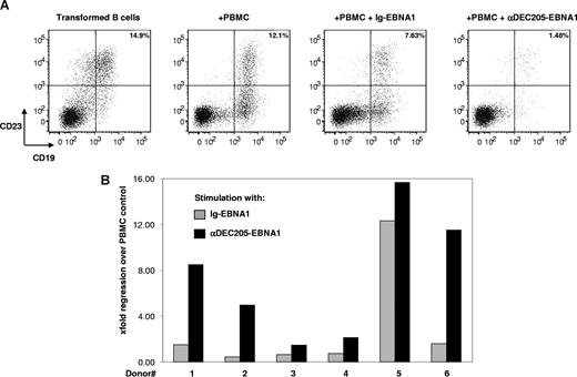 Figure 4. PBMCs primed by αDEC-205-EBNA1 control EBV infection. Bulk PBMCs were pulsed with medium, 5 μg/mL αDEC-205-EBNA1, or control Ig-EBNA1 in combination with poly(I:C) and 10 U/mL IL-2. After 9 days, the cells were restimulated and expanded with an EBNA1 peptide library for an additional 6 days at which point autologous EBV-infected B cells were added into the culture and supplemented with 10 U/mL IL-2, 10 ng/mL IL-7, and 10 ng/mL IL-15. (A) After 16 days of coculture, outgrowth of EBV-infected B cells was assessed by flow cytometric analysis of CD19+ CD23+ double-positive cells. Representative data of 6 experiments are shown. Percentages on plots are of total cells within respective gates. (B) Summary of EBV-infected B-cell regression for 6 different donors.