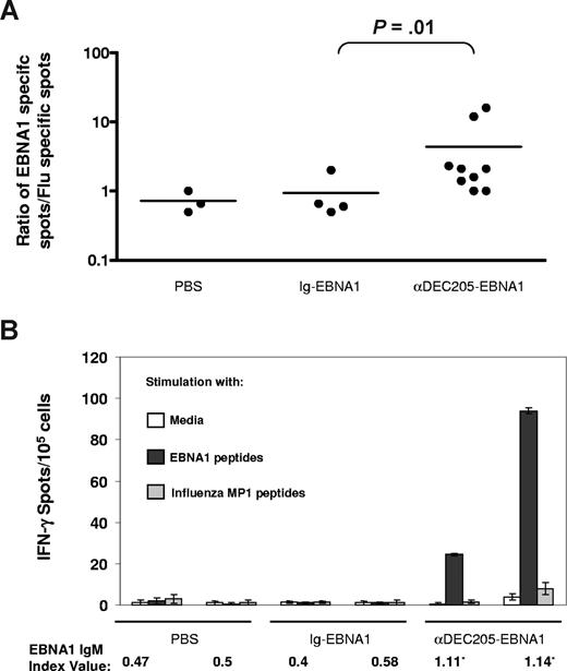Figure 5. Induction of primary T- and B-cell responses via αDEC-205-EBNA1 vaccination in immunodeficient mice reconstituted with human immune system components. Reconstituted mice were vaccinated intraperitoneally with PBS, Ig-EBNA1, or αDEC-205-EBNA1 using poly(I:C) as an adjuvant and boosted a month later. Two months after boost, bulk splenocytes were harvested, stimulated with either EBNA1 peptides or an influenza matrix protein 1 peptide library, and subjected to an IFN-γ ELISPOT assay. (A) Ratio of EBNA1-specific IFN-γ spots to nonspecific spots against the influenza peptides summarized for each vaccine group. Horizontal lines represent medians.(B) IFN-γ spots/105 splenocytes and EBNA1 IgM levels shown for 2 animals from each group. An index value of 1.1 or higher confirms the presence of anti-EBNA1 antibodies. Error bars represent SD.