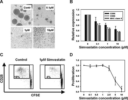 Figure 1. Statin treatment inhibits the antigen-presenting function of CD40-activated B cells. (A) Purified B cells were activated through CD40 in the presence of simvastatin (0.1, 1, or 10 μM) or vehicle as a control (Contr). Addition of simvastatin to the culture medium prevented activation and homotypic adhesion. Photographs were taken at 100× magnification using a TELEVAL 31 microscope (Carl Zeiss, Jena, Germany fitted with a Canon EOS 350D digital camera. (B) The surface expression of MHC class II and the costimulatory molecules CD80 and CD86 was reduced in a dose-dependent fashion. Expression levels are expressed relative to vehicle-treated controls (n = 4). (C) The immunostimulatory function of CD40-activated B cells was assessed in a mixed lymphocyte reaction (MLR) with carboxyfluorescein diacetate succinimidyl ester (CFSE)–labeled CD4+ T cells as responders and CD40-activated B cells, which have been treated with vehicle or 1 μM simvastatin, as stimulators. FACS plots representative of 4 separate experiments are shown. (D) CFSE-labeled CD4+ T cells (n = 4) were stimulated with CD3/CD28-coated beads at a ratio of 1:1. Addition of simvastatin at the indicated concentrations interfered with the T cell proliferation. Error bars in panels B and D represent SD.