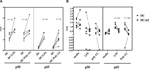 Figure 6. Preexposure to live mf diminishes the NF-κB binding capacity of p50 and p65 following poly I:C and LPS activation. (A) Unexposed mhDCs activated with either LPS or poly I:C for 3 hours. (B) mhDCs were exposed to live mf for 48 hours and then activated with either media alone, poly I:C, or LPS for an additional 3 hours. Nuclear extracts were prepared, and NF-κB activation was measured using an ELISA with OD as the readout. Each line represents an independent experiment.