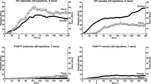 Figure 1. Platelet and fibrin accumulation in laser-induced arteriole and venule injuries in wildtype and untreated FVIIInull mice. Analysis of in situ laser injury in cremaster arterioles and venules. Average platelet accumulation was measured using an Alexa647-labeled anti-CD41 Fab fragment (RVU), and fibrin clot accumulation using an Alexa488-labeled anti-fibrin antibody (RVU). Studies of wildtype (WT) mice are shown on the top row and FVIIInull mice on the bottom row, with arterioles on the left and venules on the right for both rows. The number of individual injuries and total mice used are noted at the top of each graph. Measurements are in relative value units and held constant throughout these studies.