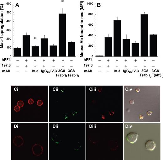 Figure 2. FcγRIIa (CD32a) mediated neutrophil Mac-1 up-regulation. The ability of 10 μg/mL anti-CD32/FcγRII (IV.3), anti-CD16 (3G8 F(ab′)2), and isotype control for IV.3 (IgG2b) to block Mac-1 up-regulation induced by 2 μM hPF4 and 10 μg/mL 197.3 was measured. Blocking reagents were added 6 minutes prior to stimulation. (A) Mac-1 expression was measured 9 minutes after stimulation in fixed samples. (B) Total mouse antibody bound to cells was measured using Alexa 488–conjugated goat anti–mouse F(ab′)2 IgG. IV.3 significantly reduced Mac-1 up-regulation without dramatically altering the binding of PF4 to cells. *P < .05, with respect to positive control with hPF4 plus 197.3. (C-D) Confocal microscopy images showed clustering and colocalization of FcγRIIa and anti-PF4 antibody. Two Alexa 647–conjugated anti-CD32 monoclonal antibodies were used for these runs, IV.3 (Ci-Civ) and CIKm5 (Di-Div). In panels Ci and Di, CD32 distribution on unstimulated neutrophils determined using IV.3–Alexa 647 and CIKm5–Alexa 647, respectively, was seen to be uniform. Cells were stimulated with hPF4 and Alexa 488–conjugated 197.2. After fixation, these cells were labeled with either IV.3–Alexa 647 or CIKm5–Alexa 647. Panels Cii and Dii show signal from 197.2–Alexa 488 channel, panels Ciii and Diii show data from IV.3–Alexa 647 and CIKm5–Alexa 647, respectively, and panels Civ and Div show merged fluorescence images along with differential interference contrast (DIC) image. Error bars represent SEM (n ≥ 3).