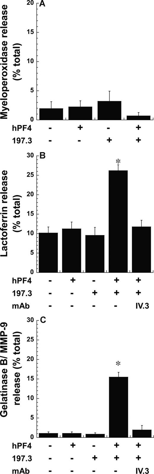 Figure 3. Exocytosis of secondary and tertiary but not primary granules following costimulation. Neutrophil degranulation 9 minutes after costimulation with 2 μM PF4 and 10 μg/mL anti-PF4 Ab (197.3) was measured by quantifying the release of (A) myeloperoxidase (primary granule), (B) lactoferrin (secondary granule), and (C) gelatinase B/MMP-9 (tertiary granule). Degranulation (mean ± SEM; n = 3) is expressed as percentage release of total neutrophil granule content. IV.3 blocks lactoferrin and gelatinase B release. *P < .01, with respect to all other treatments.