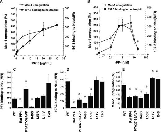 Figure 5. Recombinant human PF4 and 197.3 costimulation induce neutrophil Mac-1 up-regulation. (A) In costimulation studies, 197.3 dose was varied from 0.5 to 30 μg/mL in the presence of 1 μM wild-type (WT) recombinant PF4 (rPF4). Mac-1 up-regulation (left axis) and 197.3 binding to neutrophil (right axis) at 9 minutes after stimulation were measured. Mac-1 expression increased with 197.3 binding to cells. (B) In costimulation studies where rPF4 dose was varied in the presence of constant levels of 197.3 (30 μg/mL), Mac-1 up-regulation was maximum at 1 μM. For studies in panels C-E, 5 PF4 mutants were generated based on the primary sequence of rat-PF4. Costimulation experiments were performed with 1 μM PF4 (recombinant or rat source) and 30 μg/mL 197.3 for 9 minutes. Fixed samples were used to quantify (C) PF4 binding to neutrophils using polyclonal rabbit anti–human PF4 Ab followed by Alexa 488 goat anti–rabbit IgG, (D) 197.3 binding to neutrophil using Alexa 488 goat anti–mouse F(ab′)2 IgG, and (E) Mac-1 up-regulation using PE-labeled anti–Mac-1 mAb. rPF4 binding to neutrophils was abrogated by R49S mutation. Binding of 197.3 was partially dependent on residues 37 to 39. *Significantly different from WT rPF4 run (P < .05). Error bars represent SEM (n = 3).