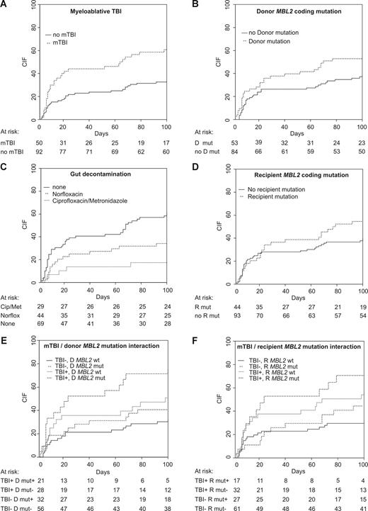 Figure 3. Cumulative incidence of infection stratified according to transplantation characteristics or MBL2 status. Cip indicates ciprofloxacin; D, donor; Met, metronidazole; mut, MBL2 coding mutation; mTBI, myeloablative TBI; Norflox, norfloxacin; R, recipient; and wt, MBL2 coding wild type.
