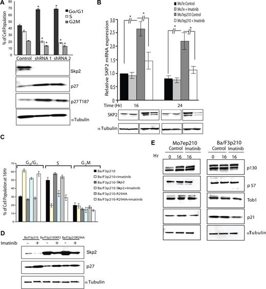 Figure 2. p27 levels are regulated by SKP2 in BCR-ABL-positive cell lines. (A) Mo7ep210BCR-ABL cells were infected with lentivirus-producing SKP2 shRNA-1 and -2 or control (scramble) shRNA construct for stable knockdown of SKP2. The effect on cell-cycle distribution (PI staining) as well as on SKP2, p27, and pT187p27 expression was analyzed by immunoblot analysis. The differences in cell-cycle progression after knockdown of SKP2 are significant compared with control with P values less than .001 from 3 independent experiments. (B) SKP2 mRNA levels were assessed in Mo7e and Mo7ep210BCR-ABL cells by quantitative RT-PCR after treatment with 2.5 μM imatinib for 16 and 24 hours. (C) Ba/F3 cells expressing p210BCR-ABL were stably transduced with a Skp2 expression vector and treated with 2.5 μM imatinib for 16 hours. Cell-cycle distribution was analyzed by PI staining in 3 independent experiments, and (D) p27 expression was analyzed by immunoblot. (E) Effect of BCR-ABL kinase inhibition on the expression of SKP2 substrates was analyzed. Cells were treated with 2.5 μM imatinib and the expression of p130, p57, Tob1, and p21 was measured by immunoblot analysis in Mo7ep210BCR-ABL and Ba/F3p210BCR-ABL cells. Error bars represent SE.