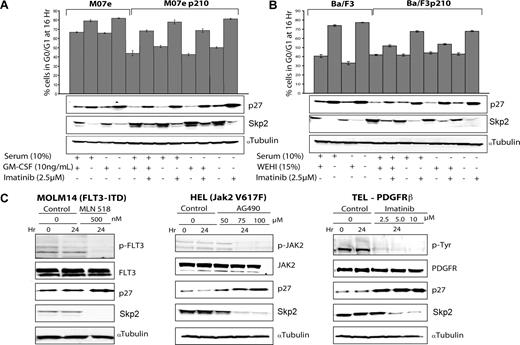 Figure 3. Effect of growth factor and serum deprivation or stimulation on BCR-ABL–positive cells. Parental and BCR-ABL–positive cell lines were deprived or stimulated with growth factor and/or serum for 16 hours. Effect on cell-cycle progression (PI staining) as well as p27 and Skp2 expression was analyzed in 3 independent experiments. BCR-ABL–positive cells were also treated with 2.5 μM imatinib. (A) Mo7e and Mo7ep210BCR-ABL cells. (B) Ba/F3 and Ba/F3p210BCR-ABL cells. Error bars represent SE. (C) Effect on Skp2 and p27 expression of inhibiting constitutively active tyrosine kinases in leukemia cell lines. Cells were incubated with the indicated concentrations of inhibitors for 24 hours and immunoblot analysis was performed on whole cell lysates. Left panel shows MOLM14 cells expressing a FLT3 internal tandem duplication (ITD) treated with 500 nM MLN518. Middle panel shows HEL cells expressing JAK2 V617F treated with 50, 75, 100 μM of AG490. Right panel shows Ba/F3 cells expressing TEL-PDGFRβ treated with 2.5, 5.0, 10 μM imatinib. Skp2 and p27 expression levels were analyzed after inhibition of tyrosine kinase activity. α-Tubulin was used as a loading control.