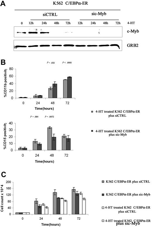 Figure 8. Effect of c-Myb silencing on C/EBPα-induced differentiation and proliferation inhibition in K562 cells. c-Myb (A) and CD11b and CD15 (B) levels in K562-C/EBPα-ER cells treated with 4-HT and a control or c-Myb siRNAs. (C) Cell counts of siRNA-, 4-HT–, or siRNA and 4-HT–treated K562-C/EBPα-ER cells. Mean plus SD (3 different experiments, performed in triplicate).