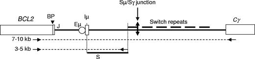 Figure 1. Schematic representation of the der(14)t(14;18). represents the amplified regions and arrows represent the oligonucleotides used for PCR amplifications and sequence reactions. PCR product lengths varied from 3 to 10 kb, depending on the location of the breakpoint on both the BCL2 and IGH loci and on the downstream oligonucleotide. The studied region is shown as a bold line (S). Iμ indicates Iμ exon; Eμ, IGH intronic enhancer; Cγ, constant γ gene; BP, t(14;18) breakpoint; and J, joining element.