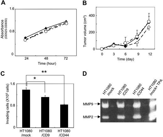 Figure 2. In vitro and in vivo growth and invasion of HT1080 transfectants. (A) Stably transfected polyclonal HT1080/mock (♦), HT1080/CD9 (◇), and HT1080/CD44 cells (○) were plated onto each well of 24-well plates. After incubation for 24, 48, or 72 hours, MTT assay was performed. Data are means plus or minus SD of triplicate determinations. (B) HT1080/mock (♦), HT1080/CD9 (◇), and HT1080/CD44 (○) cells were subcutaneously injected into the backs of C.B-17/Icr-scid mice (n = 5). Tumors were measured with calipers at 3, 6, 9, 12, and 15 days after injection. Tumor volume was calculated using the following formula: volume = W2 × L / 2, where W is the short diameter and L is the long diameter. Data are means plus or minus SD. (C) HT1080/mock, HT1080/CD9, and HT1080/CD44 cells in serum-free RPMI medium were added to the upper compartment of Matrigel-coated invasion chambers. Data are means plus SD of triplicate determinations. *P < .05; **P < .005 using the Student t test. (D) HT1080/mock, HT1080/CD9, and HT1080/CD44 cells were cultured in serum-free RPMI medium for 20 hours. In an experiment, HT1080/mock cells were stimulated with 50 ng/mL TPA (HT1080/mock+TPA). The culture supernatant was concentrated and electorophoresed. The gels were incubated for 40 hours in reaction buffer and stained with Coomassie Brilliant Blue.