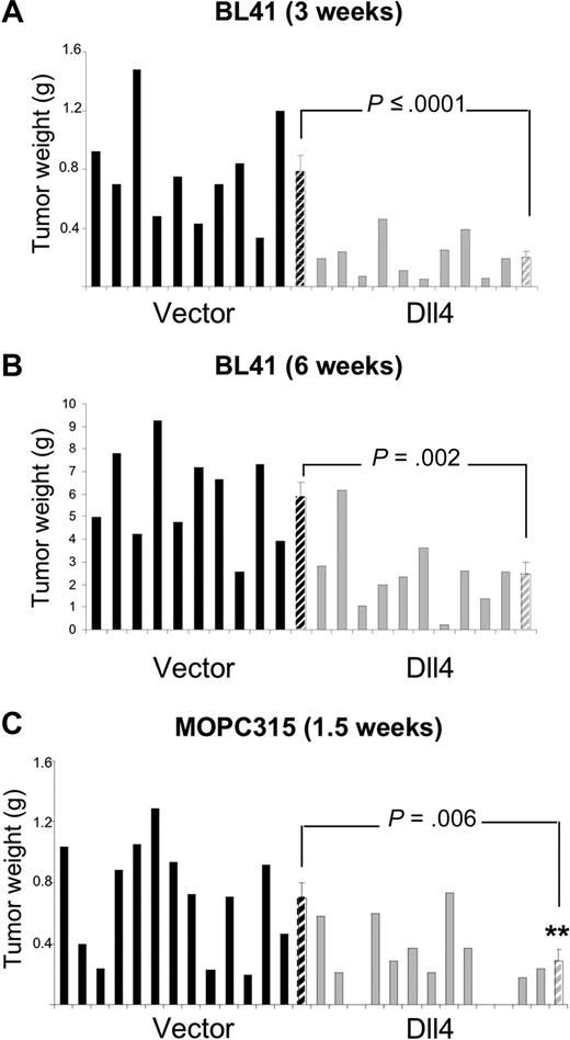 Figure 2. Dll4 overexpression in tumor cells inhibits tumor growth. Weight of Dll4 and control BL41 tumors removed 3 weeks (A) and 6 weeks (B) after subcutaneous injection of BL41 tumor cells in NOD/SCID mice. Weight of Dll4 and control MOPC315 tumors removed 12 days after subcutaneous injection of MOPC315 tumor cells in BALB/c mice (C). Solid bars represent individual tumor weights and striped bars represent group means plus or minus SEM (A,B: n = 10; C: n = 13).