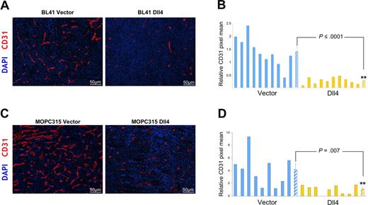 Figure 3. Dll4 overexpression in tumor cells reduces tumor angiogenesis. Tumor vasculature identified by immunohistochemical staining of mouse CD31 in representative BL41 (A), MOPC315 (C) tumor sections, and quantification of CD31 staining in individual tumors and group means using NIH ImageJ software (B,D). Striped bars represent the mean plus or minus SEM (B: n = 10; D: n = 9).