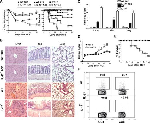 Figure 1. IL-17−/− donor cells induced exacerbated acute GVHD. (A) Sublethally irradiated BALB/c recipients were transplanted with graded numbers (1.25∼2.5 × 106) spleen cells and 2.5 × 106 TCD-BM cells from wild-type (WT) or IL-17−/− C57BL/6 donors. The recipients were checked for clinical signs of GVHD and body weight every 5 days and monitored for survival daily. Body weight change and survival curves are shown. There were 12 mice in each group, and 3 replicated experiments were combined, except the group given TCD-BM alone had 4 recipients. (B,C) Histopathology of liver, gut, and lung of recipients given TCD-BM alone or TCD-BM and spleen cells (2.5 × 106) from WT or IL-17−/− donor 13 days after HCT. One representative histopathology and mean (± SE) of histologic score of 6 examined recipients in each group are shown. (D,E) Sublethally irradiated BALB/c recipients were transplanted with sorted T cells (0.5 × 106) from WT or IL-17−/− donors. Clinical score and survival curves are shown. There were 8 recipients in each group; 2 replicated experiments were combined. (F) Liver mononuclear cells of the recipients were stained for H-2b (donor marker), CD4, CD8, and intracellular IL-17 on day 10 after HCT. Gated H-2b+ cells are shown in IL-17 versus CD4 or CD8. The percentage of IL-17 CD4+ or CD8+ T cells is shown beside the gating boxes. Mean (± SE) of the IL-17+ CD4+ or CD8+ T cells in the liver of recipients given WT donor T cells are 0.69 (± 0.02) or 0.77 (± 0.08). IL-17+ T cells in the spleen of the recipients given IL-17−/− donor T cells were not detectable (< 0.05%).