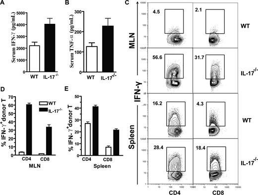 Figure 2. Augmented Th1 differentiation in recipients given IL-17−/− donor cells. (A,B) Serum levels of IFN-γ and TNF-α of recipients given WT or IL-17−/− donor spleen cells 5 days after HCT. (C) Mesenteric lymph nodes (MLN) and spleen cells of the recipients given WT or IL-17−/− donor cells were stained for H-2b, CD4, CD8, and intracellular IFN-γ, 13 days after HCT. Gated H-2b+ cells are shown in IFN-γ versus CD4 or CD8. The percentage of IFN-γ+ cells is shown beside the gating boxes. One representative of 4 recipients in each group is shown. (D,E) Means (± SE) of the percentages of IFN-γ+ CD4+ or CD8+ donor T cells in MLN and spleen.