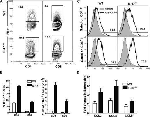 Figure 3. Increased infiltration of Th1 cells in liver of recipients given IL-17−/− donor cells. (A) Liver mononuclear cells from recipients given WT or IL-17−/− donor cells were stained for H-2b, CD4, CD8, and intracellular IFN-γ, 13 days after HCT. Gated H-2b+ cells are shown in IFN-γ versus CD4 or CD8. The percentage of IFN-γ+CD4+ or CD8+ T cells is shown beside the gating boxes. One representative of 4 recipients in each group is shown. (B) Means (± SE) of the percentages of donor IFN-γ+ CD4+ or CD8+ T cells of the 4 recipients and of the yield of IFN-γ+ CD4+ or CD8+ T cells of the 4 recipients. (C) MLN cells of the recipients were stained for H-2b, CD4, CD8, and CCR5. Histogram of CCR5 (solid line) versus isotype control (shaded area) of H-2b+ CD4+ or CD8+ cells are shown. One representative of 4 recipients is shown. Means (± SE) of the percentage of CCR5+ cells among CD4+ or CD8+ donor T cells are 43.1% (± 3.9%) or 10.8% (± 2.0%) in recipients given WT donor cells and 67.6% (± 2.8%) or 23.3% (± 1.6%) in recipients given IL-17−/− donor cells. (D) Means (± SE) of chemokine expression levels by liver of the recipients given WT or IL-17−/− donor cells 5 days after HCT. Relative gene expression levels were normalized within each sample to the house keeping gene GAPDH and were presented relative to the expression in liver tissue of syngeneic HCT recipients. There were 4 mice in each group.
