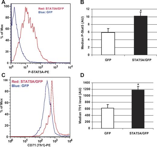 Figure 4. Transferrin receptor expression in murine erythroleukemia (MEL) cells transfected with a plasmid encoding constitutively active STAT5A. MEL cells were transfected with a plasmid encoding constitutively active STAT5A and GFP or GFP alone. (A,C) Histogram from FACS analyses of gated GFP-positive cells. (A) Phospho-STAT5A levels in MEL cells. (C) Transferrin receptor (CD71) expression in MEL cells. Quantification of phospho-STAT5A (B) and Tfr1 levels (D) in GFP- and STAT5A/GFP-transfected cells. Representative data are from 1 of 3 individual experiments. Error bars represent SEM. *P < .05 compared with GFP-transfected cells.