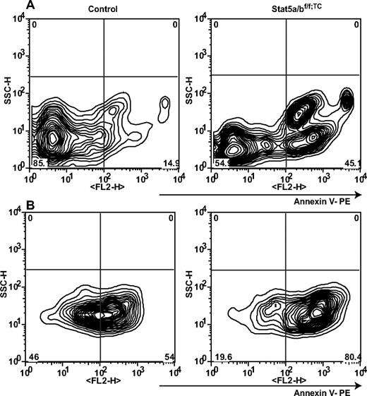 Figure 6. Apoptosis in Stat5a/bf/f; TC and control adult splenic erythroid cells. (A) Freshly isolated splenic Ter119-positive cells were analyzed by FACS using an apoptosis detection kit and Ter119 staining. (B) After 24 hours in culture with Epo, cells were subjected to the same analysis. The left panels are from control mice; the right panels are from Stat5a/bf/f; TC mice. Populations shown were gated as Ter119 positive and 7AAD negative. Representative profile from 1 of 3 individual experiments.