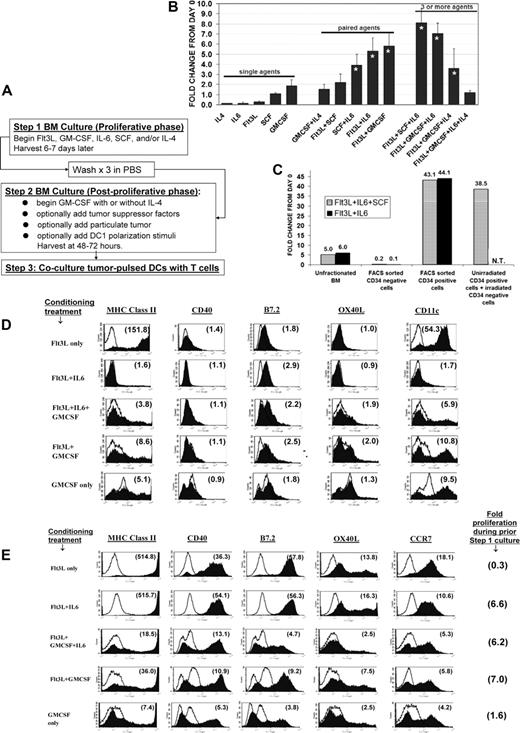 Figure 1. Numeric expansion and differentiation following exposure of bone marrow (BM) to various factors. (A) Schematic of test culture system. (B) BM freshly harvested from C57BL/6 mice was cultured for 6 days (step 1 culture) in the specified factors (dosing in “Methods”), then counted. Each bar represents averaged 3 to 11 determinations plus or minus SD, each performed in synchronous comparison to at least five other groups. Asterisked bars indicate treatment combinations that displayed significant proliferative synergy (see “Methods”). (C) Fresh uncultured mouse BM cell suspensions were mAb-stained and FACS sorted to separate CD34+ and CD34− subpopulations. CD34+ cells initially represented 10.8% (±7%) of the total BM cells. The following groups were then subjected to 6-day step 1 culture either in Flt3L + SCF plus IL-6 (striped bars) or in Flt3L + IL-6 (solid bars): unfractionated BM (12-15 million per flask); FACS sorted CD34− cells (12-15 million per flask); FACS-sorted CD34+ cells (2-3 million per flask); or FACS-sorted, unirradiated CD34+ cells plus irradiated (3000 cGy) CD34− cells. Labels above bars indicate fold numeric expansion during the 6-day culture. All numeric expansion observed was attributable to proliferation of the CD34+ subpopulation, with no CD34− feeder layer requirement. (N.T. indicates condition not tested). (D) Surface expression profiles at end of 6-day step 1 culture in various conditioning treatments. Individual treatments are listed in far left column. Ten different treatments were synchronously compared (all groups shown in Figure S1A). Number within each histogram plot indicates the mean fluorescence specificity index for the molecule tested, defined as the geomean fluorescent intensity of all cells after staining with the specified mAb (filled histogram), divided by the geomean background staining intensity for isotype control mAb (unfilled histogram). Results shown are representative of three comprehensive comparisons. (E) Following the step 1 conditioning treatments listed in far left column, each group was replated for step 2 in fresh medium with GMCSF plus IL-4 for 24 hours, followed by overnight exposure to paired TLR agonists (CpG ODN 1826 and LPS). FACS analyses were then performed on day 2 of this step 2 culture. Ten different conditioning treatments were compared (selected groups shown in panel E; all groups shown in Figure S2A). Far right column shows gross numeric expansion during initial step 1 culture. Number within each histogram is the calculated mean fluorescence specificity index (see panel D). Representative of three comprehensive comparison experiments.