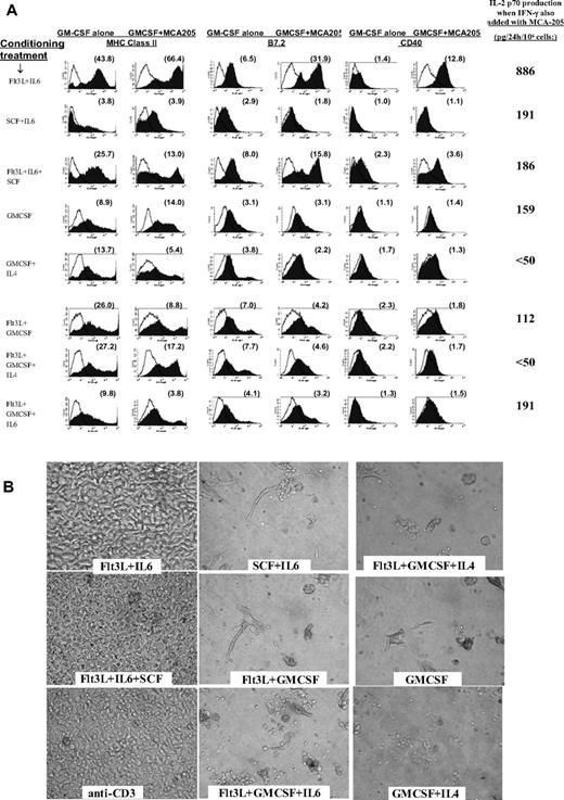 Figure 3. Impact of tumor on conditioned BM cells, and impact of tumor-pulsed DCs upon subsequent T-cell cocultures. (A) Following step 1 conditioning treatments listed in far left column, each group was replated at 4 million cells/well in fresh medium with only GMCSF added at the beginning of step 2 culture. Twenty-four hours later, individual wells were also exposed to 3 million viable irradiated MCA-205 tumor cells. FACS analyses of cells were performed at 44 hours (20 hours after addition of tumor). Histograms display expression of MHC class II, CD40, and B7.2 for each conditioning treatment, with or without exposure to tumor. The far right column displays supernatant content of IL12p70 heterodimer 20 hours after tumor exposure when rmIFN-γ was also added to culture. Supernatant IL12p70 content was below detection (< 31 pg/24 hr) following exposure to either rmIFN-γ or to tumor alone (not shown). Data are representative of 3 full comparison experiments. (B) Photos of individual T-cell cultures after 6-day coculture with tumor-pulsed DCs or with anti-CD3. Labels denote step 1 DC conditioning treatments; step 2 DC cultures were performed in rGMCSF + rIL-4, with irradiated MCA-203 cells added at 24 hours and CpG + LPS added at 44 hours. Four hours later, DCs were harvested for coculture with L-selectinlow T cells freshly harvested from MCA-203 tumor-bearing mice. T cells were cocultured with DCs at a 8:1 ratio or were activated with immobilized anti-CD3. Cocultures shown also received exogenous IL-2 + IL-7 + IL-15. Data are representative of 3 full comparison experiments, using an Olympus IX50 inverted microscope, an Olympus CPlan 10×/0.25 PhC objective lens, a Sony DSC-S85 Cybershot, and Adobe Photoshop (Adobe Systems, Mountain View, CA) for compilation.