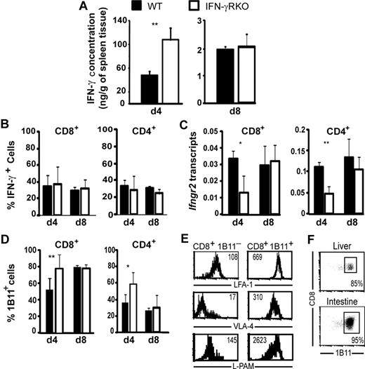 Figure 3. Exposure to high levels of IFN-γ and rapid generation of effector CD8 T cells in IFN-γRKO recipients. (A) IFN-γ levels in spleen extracts on days 4 (d4) and 8 (d8) after transplantation. (B) Proportion of IFN-γ-positive CD4 and CD8 T lymphocytes after short in vitro stimulation. (C) Expression of ifngr2 transcripts in CD8 and CD4 T cells from wt and IFN-γRKO recipients. Data are normalized relative to ifngr2 mRNA expression in CD8 and CD4 splenocytes from unmanipulated donor-type (C3H.SW) mice. (A-C) Histograms represent the mean and SD for at least 3 mice per group from experimental triplicates. (D) Percentage of 1B11+ CD8 and CD4 donor T cells in the spleen on days 4 and 8 (n ≥ 4/group from 4 different experiments, mean and SD). *P< .05, **P < .01 (A-D). (E) Expression of of VLA-4, LFA-1, and L-PAM on 1B11+ and 1B11− CD8 T cells on day 4. (F) Proportion of 1B11+ cells among hepatic and intestinal infiltrating CD8 T cells on day 8 after transplantation. (E,F) Results were similar for wt (n = 4) and IFN-γRKO (n = 4) recipients. One data set representative of 4 wt recipients is shown.