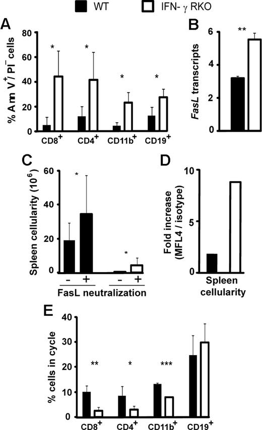 Figure 6. Lymphoid atrophy in IFN-γRKO hosts is due to FasL-mediated apoptosis and inhibition of cell proliferation. (A) Proportion of apoptotic cells in the spleen on day 15 after transplantation. Apoptotic cells were defined as annexin V–positive propidium iodine-negative cells (Ann V+/PI−). Mean and SD of at least 3 mice per group from one representative experiment out of 2. (B) Day 8 FasL transcripts in CD8 T cells from wt and IFN-γRKO hosts. Levels are expressed relative to FasL transcripts found in unmanipulated C3H.SW CD8 T cells (arbitrary level of 1). Three mice per group from 3 independent experiments. Absolute cell numbers (C) and relative increase (D) in spleen cellularity on day 15 after transplantation after injection of anti-FasL monoclonal antibody MFL4 (FasL neutralization+) or a control antibody (FasL neutralization−; 7-9 mice per group). (E) Percentage of donor cells in S/G2-M phases of the cell cycle on day 15 after transplantation. Data represent the mean and SD of at least 3 mice per group from 1 representative experiment out of 2. *P < .05, **P < .01, and ***P < .001.