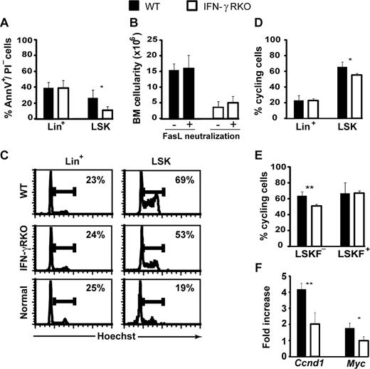 Figure 7. Decreased proliferation of hematopoietic stem/progenitor cells in IFN-γRKO hosts. (A) Proportion of apoptotic elements among donor-derived Lin+ and LSK BM cells on day 15 after transplantation. Three mice per group from 1 representative experiment of 2. (B) BM cellularity in recipients injected with anti-FasL MFL4 antibody (FasL neutralization +) or a control antibody (FasL neutralization−; ≥ 6 mice per group). (C) Representative Hoechst staining pattern of donor Lin+ and LSK cells in wt versus IFN-γRKO hosts on day 15 after transplantation. The Hoechst staining pattern of unmanipulated donor type (C3H.SW) cells is shown as a control. Percentages represent the proportion of cycling cells (phases S, G2-M). (D,E) Proportion of cycling Lin+, LSK, LSKF−, and LSKF+ cells on day 15 after transplantation (3 mice per group, from 1 representative experiment out of 2). (F) Levels of Ccnd1 and Myc transcripts in donor-derived LSKF− cells sorted from the BM of wt and IFN-γRKO hosts on day 15. Levels are expressed relative to the amount of transcripts in BM LSKF− cells from untreated C3H.SW mice (arbitrary level of 1), using HPRT as an endogenous control. Histograms represent the mean and SD for 3 mice per group from experimental triplicates. * and ** correspond to P values < .05 and < .01, respectively.