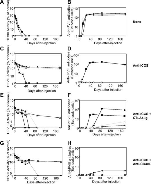 Figure 1. Naked plasmid transfer of hFVIII plasmids into hemophilia A mice with short-term anti-ICOS treatment either alone or in combination with CTLA4-Ig or antimurine CD40L antibody (MR1). A total of 50 μg of the plasmid in 2 mL of saline solution was injected into the tail vein of hemophilia A mice (n = 4) in 5 to 8 seconds. Immunosuppressive agents were administered intraperitoneally. Anti-ICOS mAb was administrated 8 times in a 2-week period, CTLA4-Ig was injected 2 times at day 0 and 2, and anti-CD40L mAb was administered 5 times over a 2-week period. Circulating hFVIII activity was evaluated in plasma at regular intervals by a modified clotting assay (A,C,E,G) and confirmed by a chromogenic COATEST assay. Inhibitory antibody titers were evaluated by Bethesda assay and expressed as Bethesda units/mL (B,D,F,H). (A,B) No immunosuppression. (C,D) Anti-ICOS mAb alone. (E,F) Anti-ICOS + CTLA4-Ig. (G,H) Anti-ICOS + anti-CD40L mAb. The respective set of figures (A,B, C,D, E,F, and G,H) show data from the same experiment, and an individual mouse was represented by the same symbol in a set.