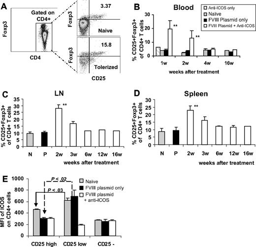 Figure 4. Immunomodulation of gene therapy with extended anti-ICOS treatment results in increased percentage of CD4+ CD25+ Foxp3+ cells. Lymphocytes of secondary lymphoid organs from 3 groups of mice treated with different regimens were stained for CD4, CD25, and intracellularly for Foxp3. (A) Representative dot plots of flow cytometry of blood samples at day 14. Time course of percentage of CD25+Foxp3+ was evaluated in CD4+ T cells isolated from (B) peripheral blood, (C) LNs, and (D) spleen. **P < .01, compared with groups of naive, anti-ICOS alone, and plasmid only treated mice. (E) ICOS expression on CD4+CD25high, CD4+CD25low, and CD4+CD25− cell populations isolated from spleen of 3 groups of mice at day 2 to 4 after plasmid transfer. Results were shown as MFI of ICOS.