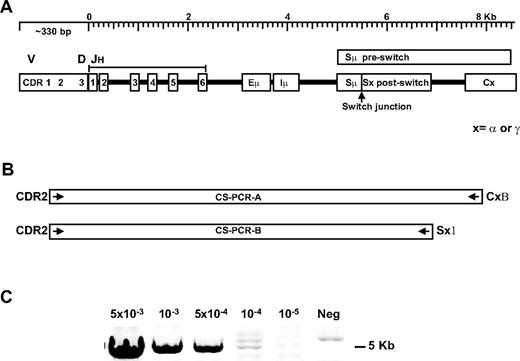 Figure 1. Clonotypic switch (CS-PCR) amplification in MM patients. (A) A diagram of the rearranged immunoglobulin heavy chain locus: V indicates variable; D, diversity; JH, junction segments; Eμ, intronic enhancer; Iμ, I exon; Sμ, switch region before class switching; Sμ/Sx, hybrid switch region generated after class switching; C, downstream constant region; and x, α (IgA) or γ (IgG) isotope regions. (B) CS-PCR-A and CS-PCR-B, with patient-specific CDR2 and CSR-specific Sx1 or CxB primers to enable selective amplification of clonotypic switch products. For some cases, CS-PCR-A products were used in a nested CS-PCR-B reaction, called CS-PCR-AB, to increase sensitivity. (C) Sensitivity assay for the CS-PCR-A reaction using LP1 cells diluted into normal blood. Cell concentration is shown above the panel; neg indicates no LP1 cells added.