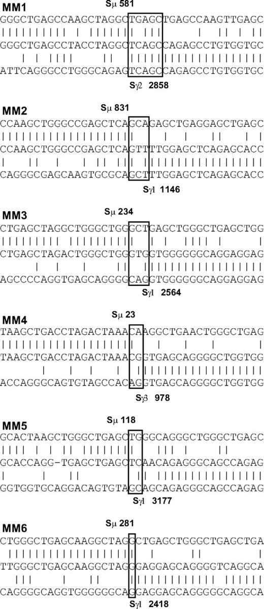 Figure 3. Switch junction analysis in 6 MM patients. Homologies between switch regions and the switch junction sequence were determined by BLAST and ClustalW analysis. Switch junctions are indicated with open boxes. Upper sequence indicates Sμ switch region; center, switch junction sequence from this study; and lower, Sγ switch region. Switch base positions are shown in bold. Vertical lines indicate sequence identity; dashes, spaces introduced for optimal alignment. A switch junction microhomology of 4 to 5 bp is evident in patient MM1.