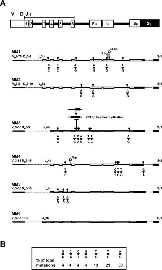 Figure 4. Detection of new mutations in the second time point sample of MM patients. (A) The positions of the germ-line elements in the V/D/J-S region are indicated at the top, with CS-PCR sequence from the diagnosis time point represented for patients MM1-5 below. Dashed lines represent regions that were not sequenced. New mutations in the second time point sample are shown as follows: closed circles are point mutations with base changes between first and second samples presented directly underneath; open circles, deletions, with the number of bases deleted shown above. A deletion followed by tandem duplication of downstream DNA is shown for MM3. (B) The frequency of each point mutation is summarized in the box.